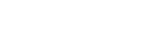 BRAKE PADS "PERFORMA"